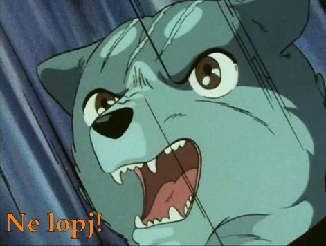 dge3rtfuzkiolkujtfgrdgtjzu7zu8u_2.jpg